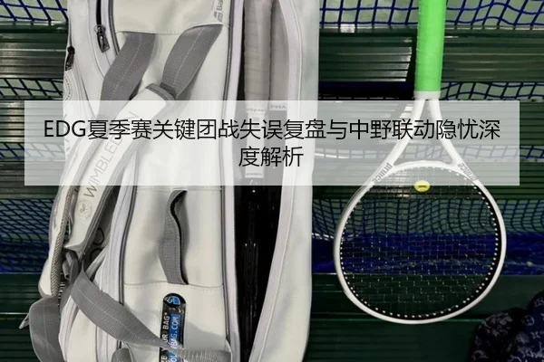 EDG夏季赛关键团战失误复盘与中野联动隐忧深度解析